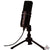 Zoom ZUM-2 Microphone with Desktop Stand, Cable & Windscreen + Microphone Pop Filter