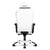 AKRacing Masters Series Premium Gaming Chair, 4D Adjustable Armrests, 180 Degrees Recline - Arctica (AK-PREMIUM-ARCTICA)