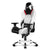 AKRacing Masters Series Premium Gaming Chair, 4D Adjustable Armrests, 180 Degrees Recline - Arctica (AK-PREMIUM-ARCTICA)