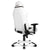 AKRacing Masters Series Premium Gaming Chair, 4D Adjustable Armrests, 180 Degrees Recline - Arctica (AK-PREMIUM-ARCTICA)