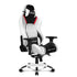 AKRacing Masters Series Premium Gaming Chair, 4D Adjustable Armrests, 180 Degrees Recline - Arctica (AK-PREMIUM-ARCTICA)