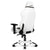 AKRacing Masters Series Premium Gaming Chair, 4D Adjustable Armrests, 180 Degrees Recline - Arctica (AK-PREMIUM-ARCTICA)